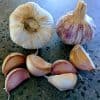 Australian Chemical-Free Turban Garlic Seed Clove Pack