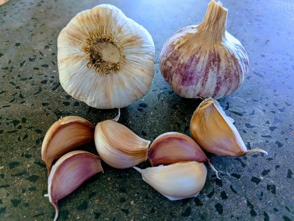 Australian Chemical-Free Turban Garlic Seed Clove Pack
