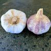 Australian Chemical-Free Turban Garlic Seed Clove Pack