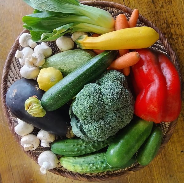 Large Veggie Only Box