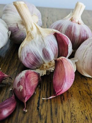 Spanish Solace Creole Chemical Free Garlic Seed - Clove Pack