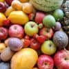Fruit-Only Box Medium