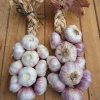 Georgie's Garlic Braids