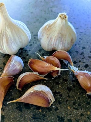 Australian Chemical-Free Standard Purple Stripe Garlic Seed Clove Pack - Dunganski
