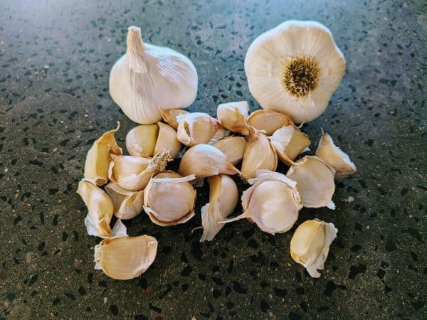 Italian Late Artichoke Chemical Free Garlic Seed - Clove Pack