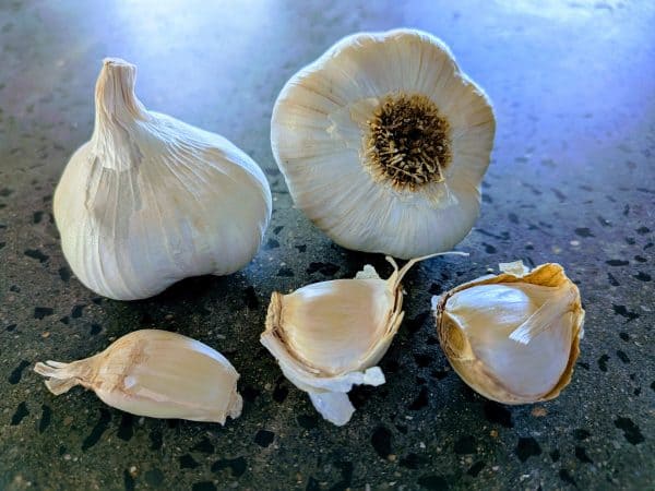 Italian Late Artichoke Chemical Free Garlic Seed - Clove Pack