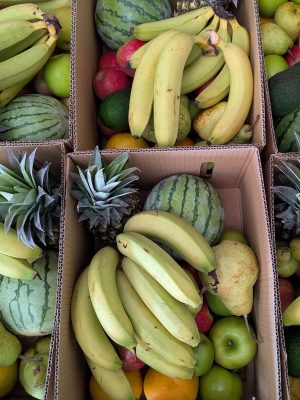 Fruit-Only Box Small